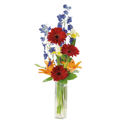 Gerbera Greeting | Floral Express Little Rock