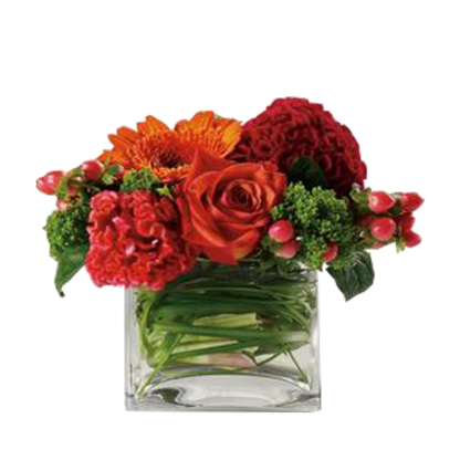 Dazzling Delight | Floral Express Little Rock