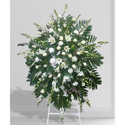 Spectacular Whites