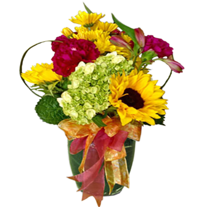 Sunshine and Flowers