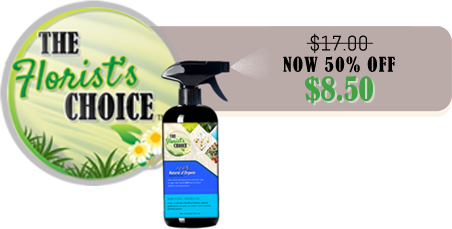 Regular price $17: - 50% off when purchased as an add on item