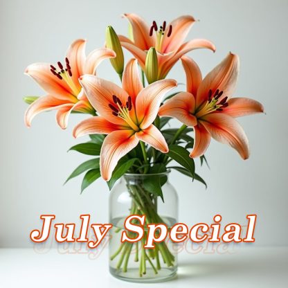 July Special